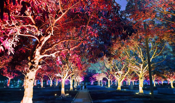 36 وات رنگ های فضای باز Rgb LED چراغ سیل درخت باغ برای طرح چشم انداز