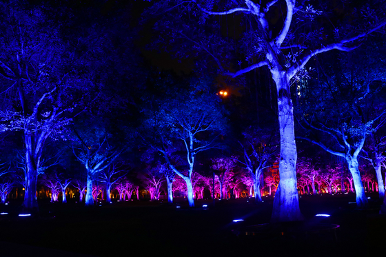 36 وات رنگ های فضای باز Rgb LED چراغ سیل درخت باغ برای طرح چشم انداز