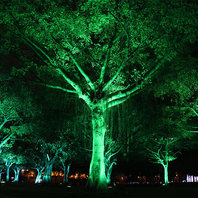 IP65 6W آلومینیوم بیرونی ضد آب LED Spike Tree Flood Light تنظیم چراغ های روشنایی چشم انداز باغ