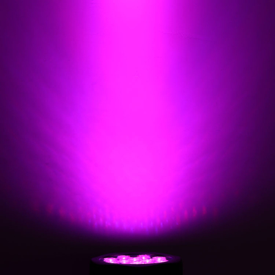 12*10 وات RGBW 4 در 1 IP65 LED Par Can Stage Event Show Lighting Outdoor LED Par